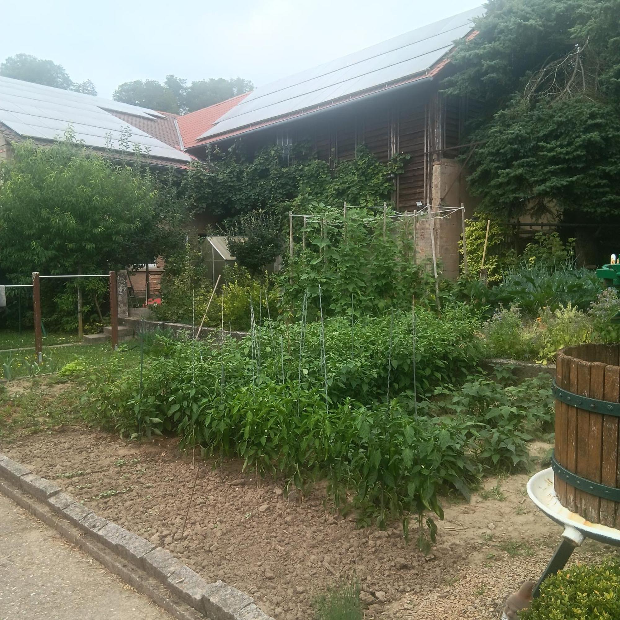 Weingut Juergen - Lutz Apartment Angelbachtal Luaran gambar